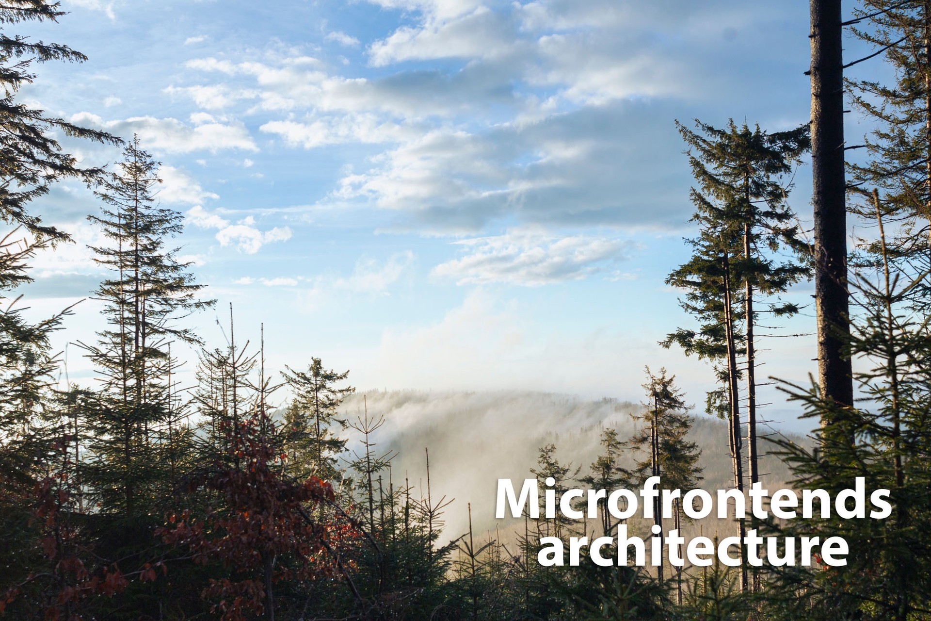 Exploring microfrontends - advantages and drawbacks